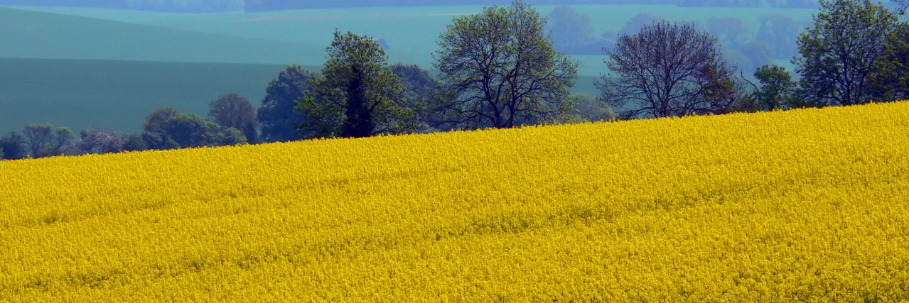 agronomoglobal's profile banner image