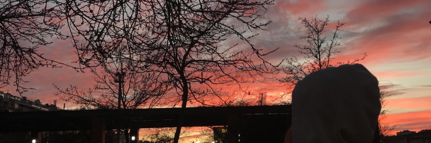 martapi26's profile banner image