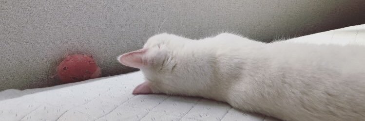 yawn______'s profile banner image