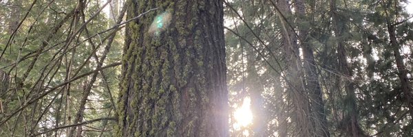 harideekshithu2's profile banner image