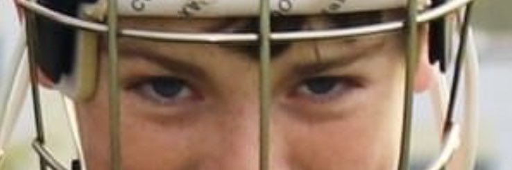 david morrissey banner