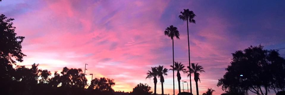 Charlene Sako banner