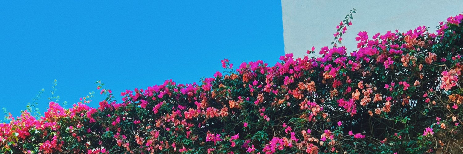jdjrdnn's profile banner image