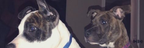 Baxtonb's profile banner image
