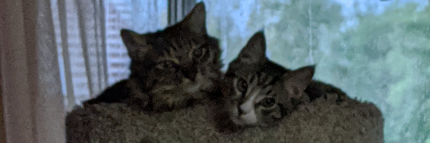 Seanathonian's profile banner image