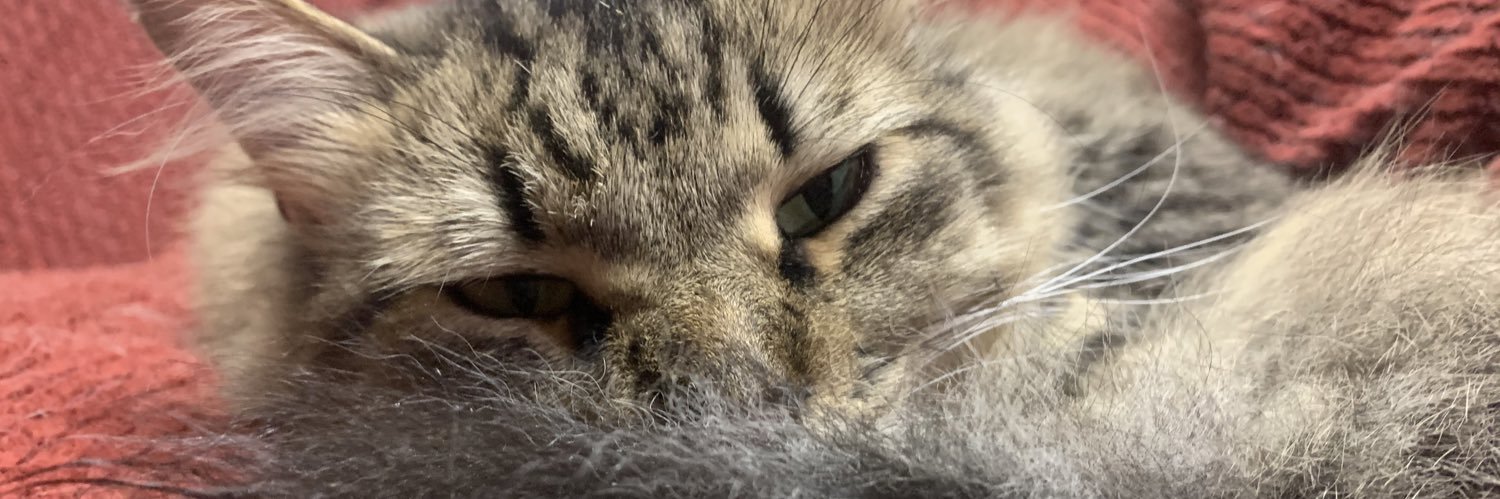 Heyitismaihere's profile banner image