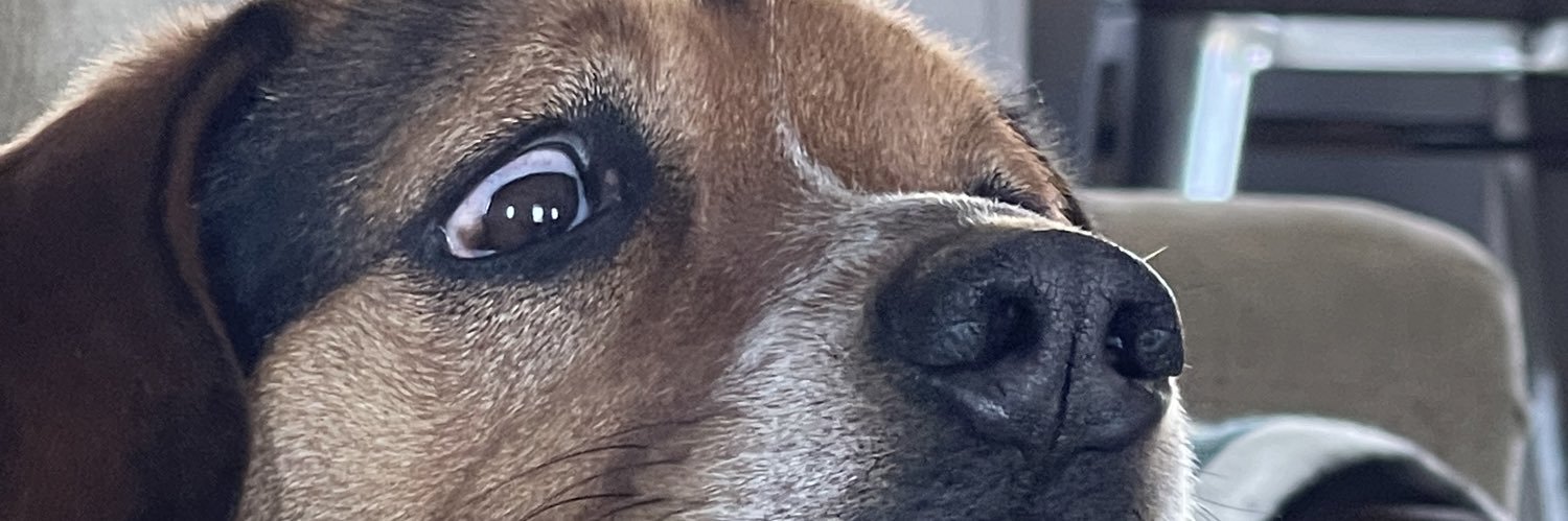 ___sydthekid's profile banner image