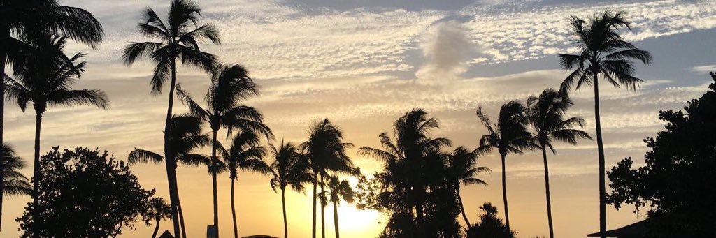 PDubb_1's profile banner image