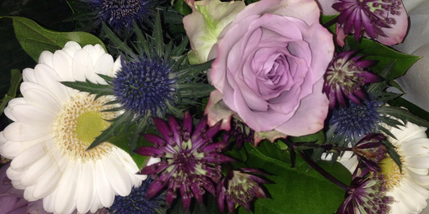 MrsFlowers28's profile banner image