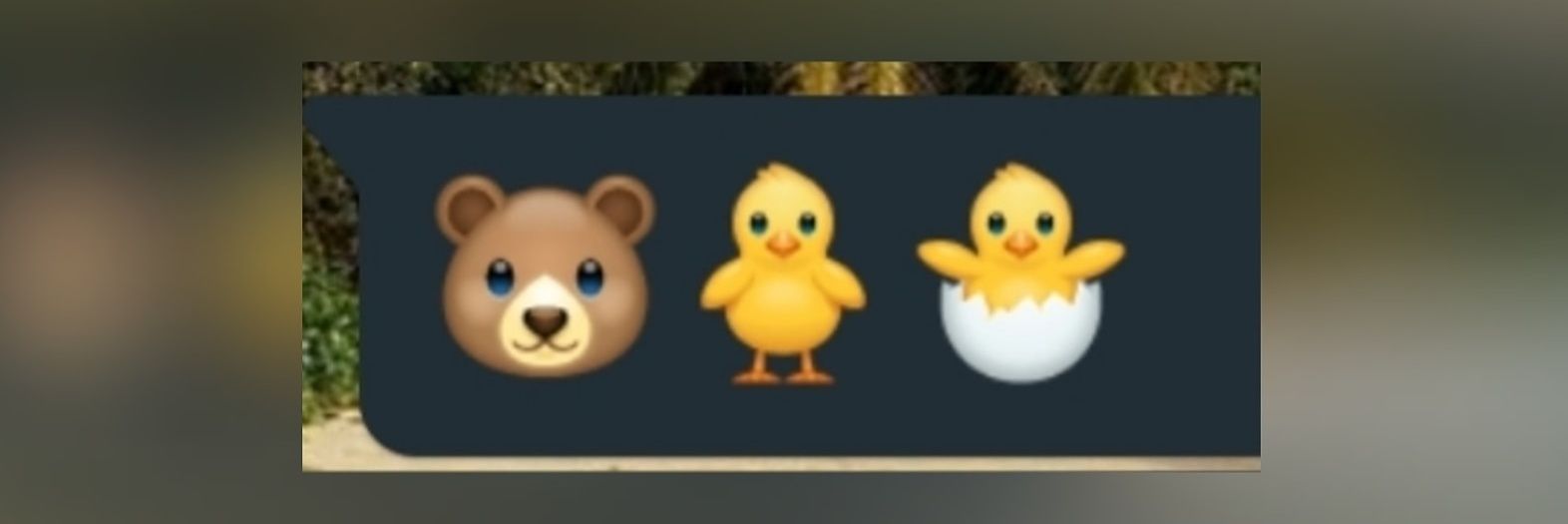 FernandaMC96's profile banner image