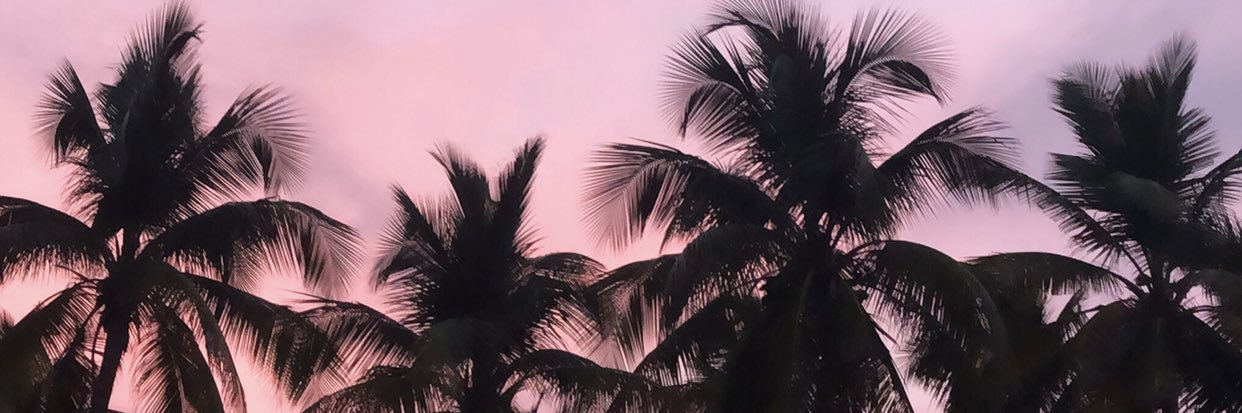 EffieRodrz's profile banner image