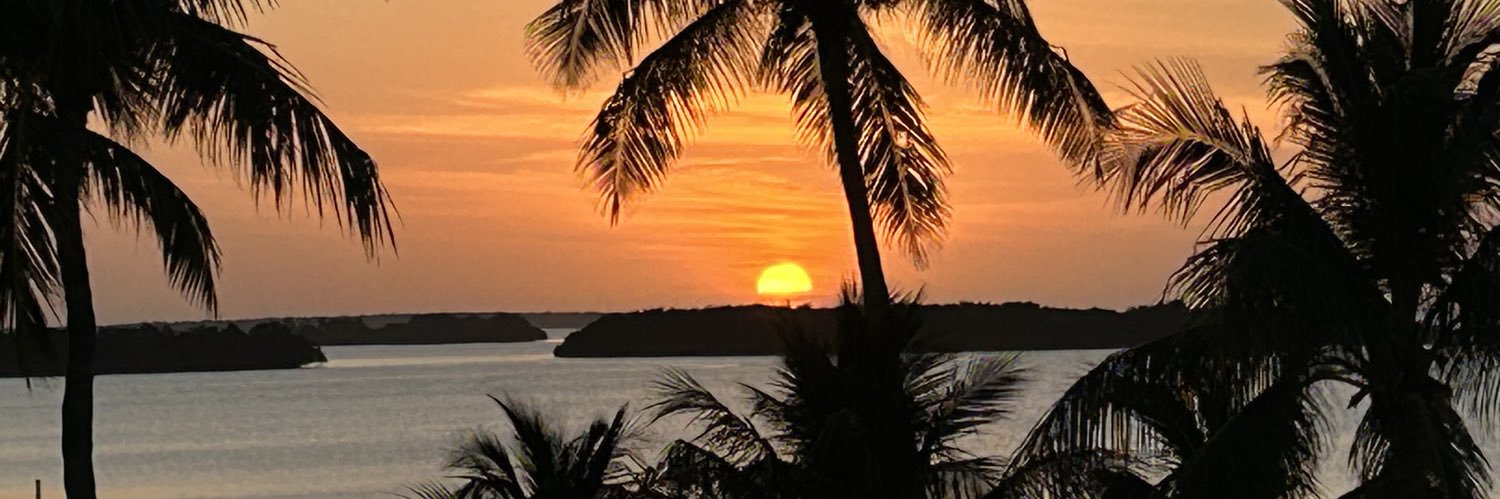 tweeterthing's profile banner image