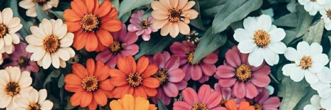 Mariamgv98's profile banner image