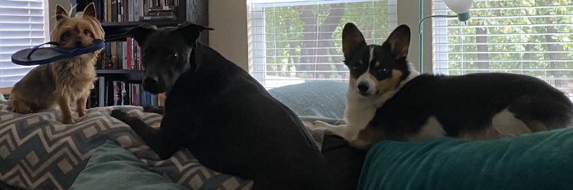 Seitz_24's profile banner image