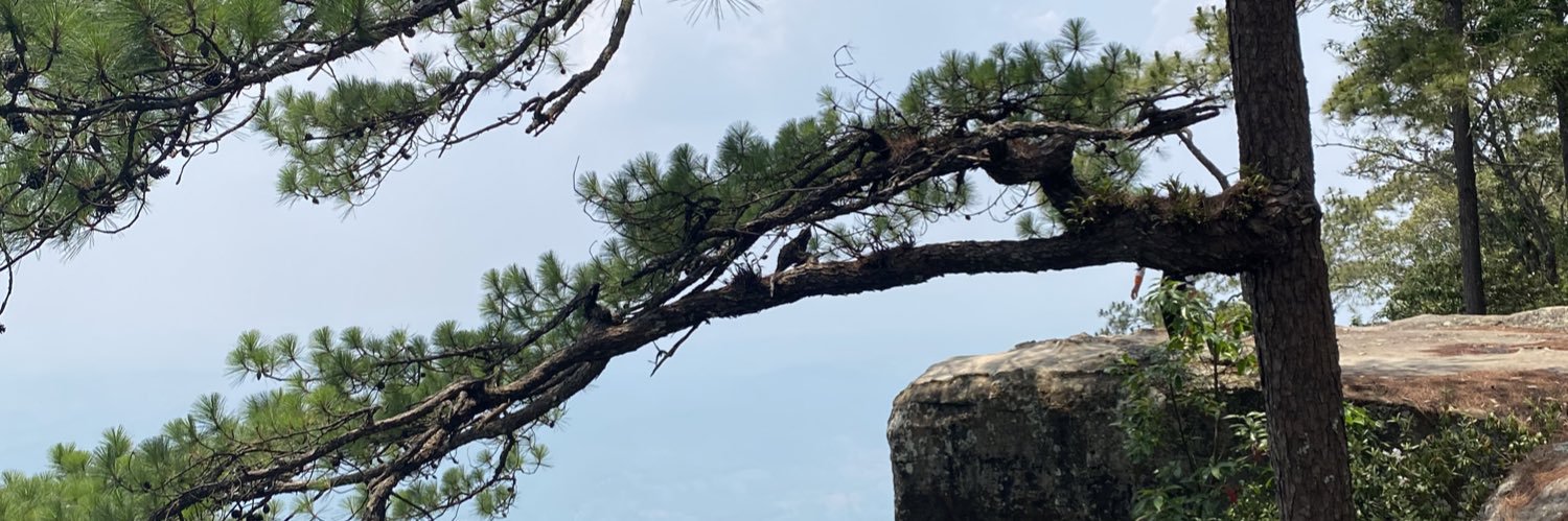 EDEDED_333's profile banner image