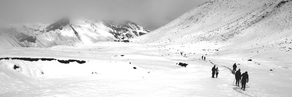 carlosmacnaught's profile banner image
