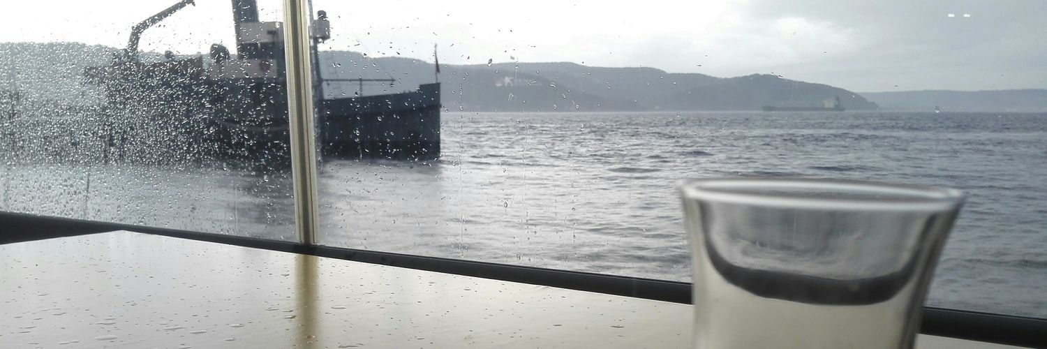 metinsaridal's profile banner image