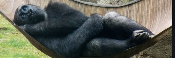 Seanski_Mandude Profile Banner