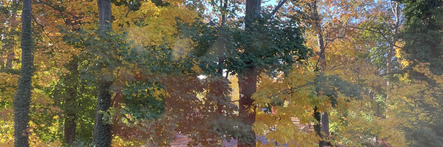 whitney4503's profile banner image