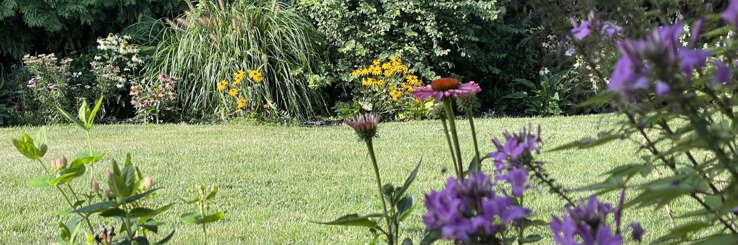 kenyon_dave's profile banner image