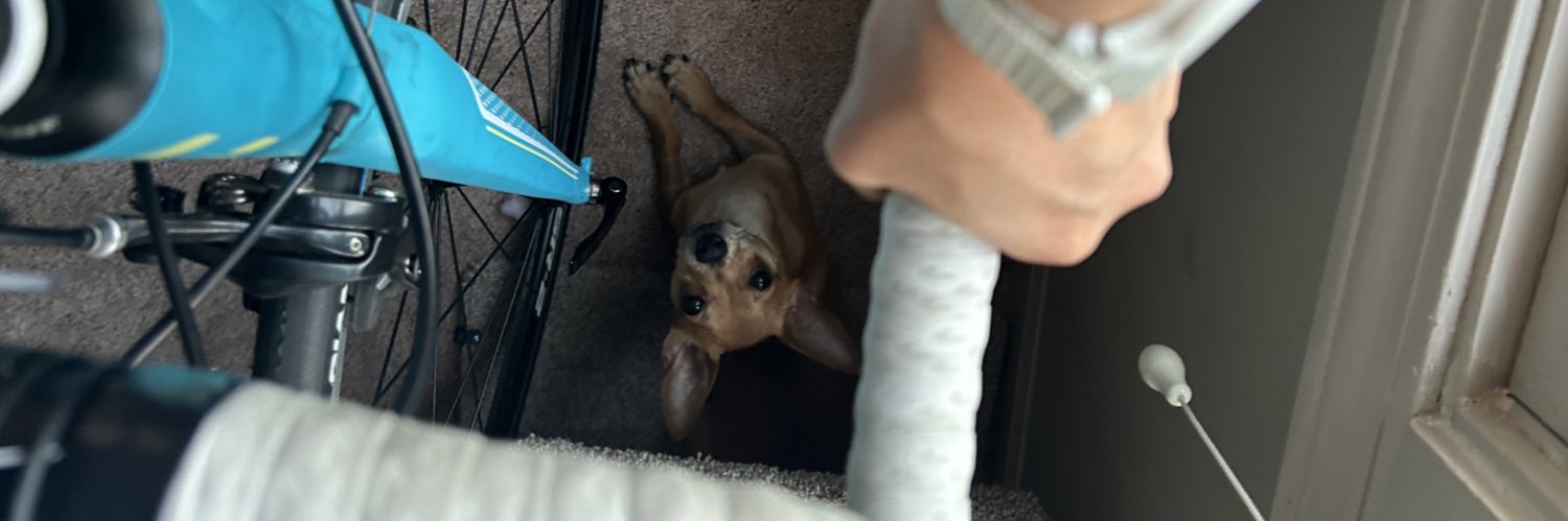 Kiana Hope(parody account) banner