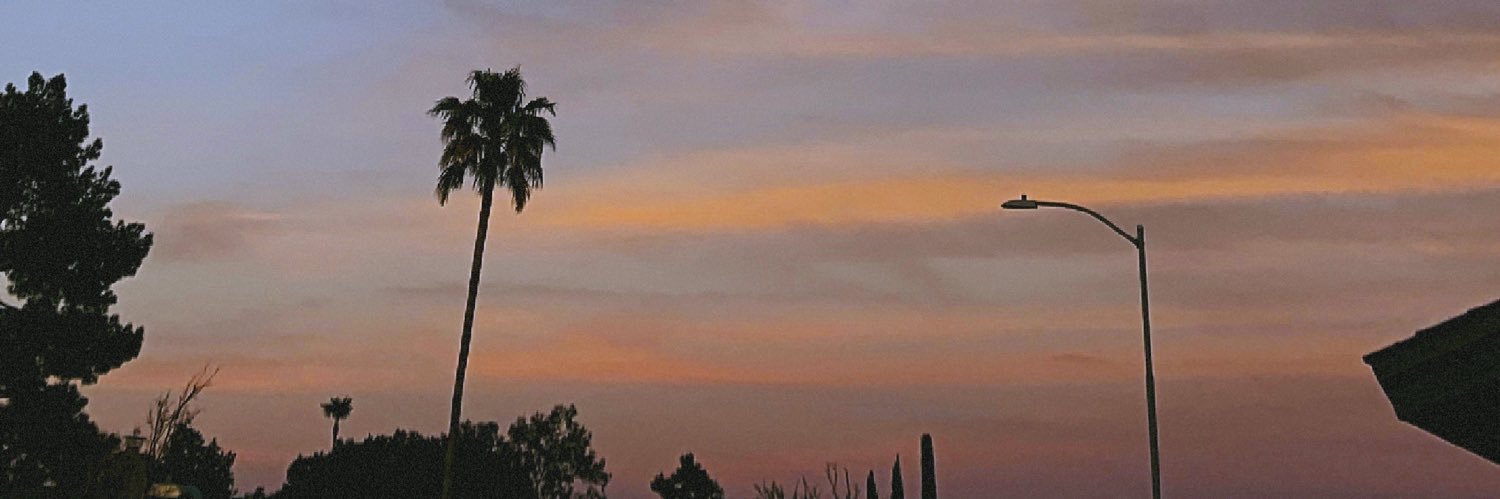 lifeeoftyler's profile banner image