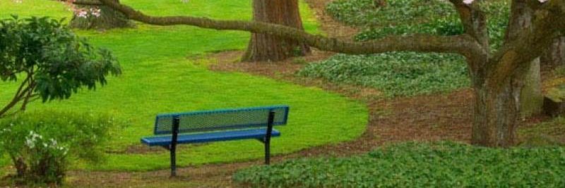 see2530's profile banner image