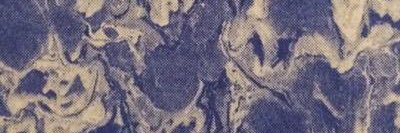 LauraSunnucks's profile banner image