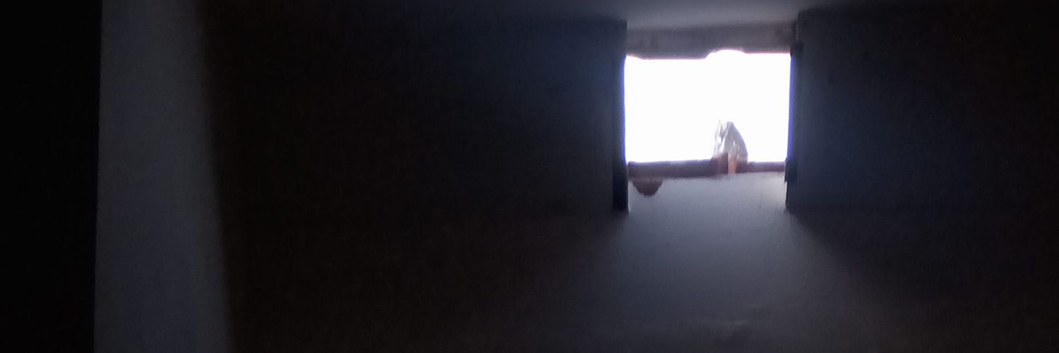 pimpimip's profile banner image