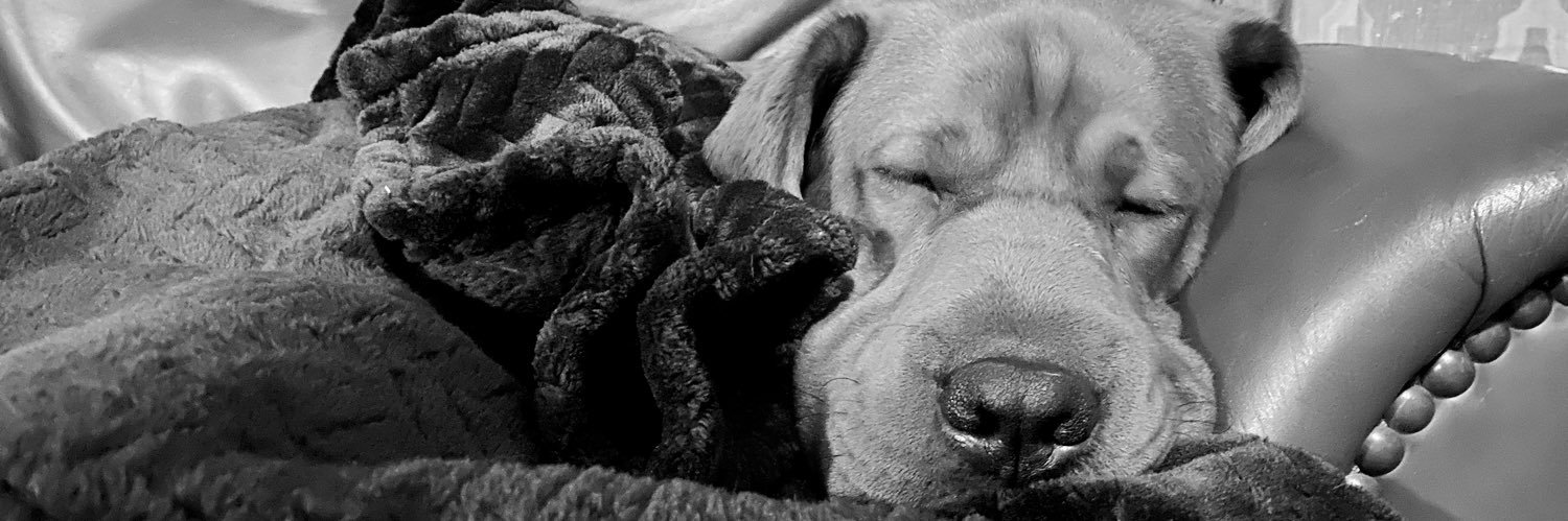 Nicole5548's profile banner image
