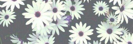 daniela_t9's profile banner image