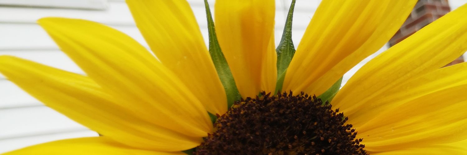 momming101's profile banner image