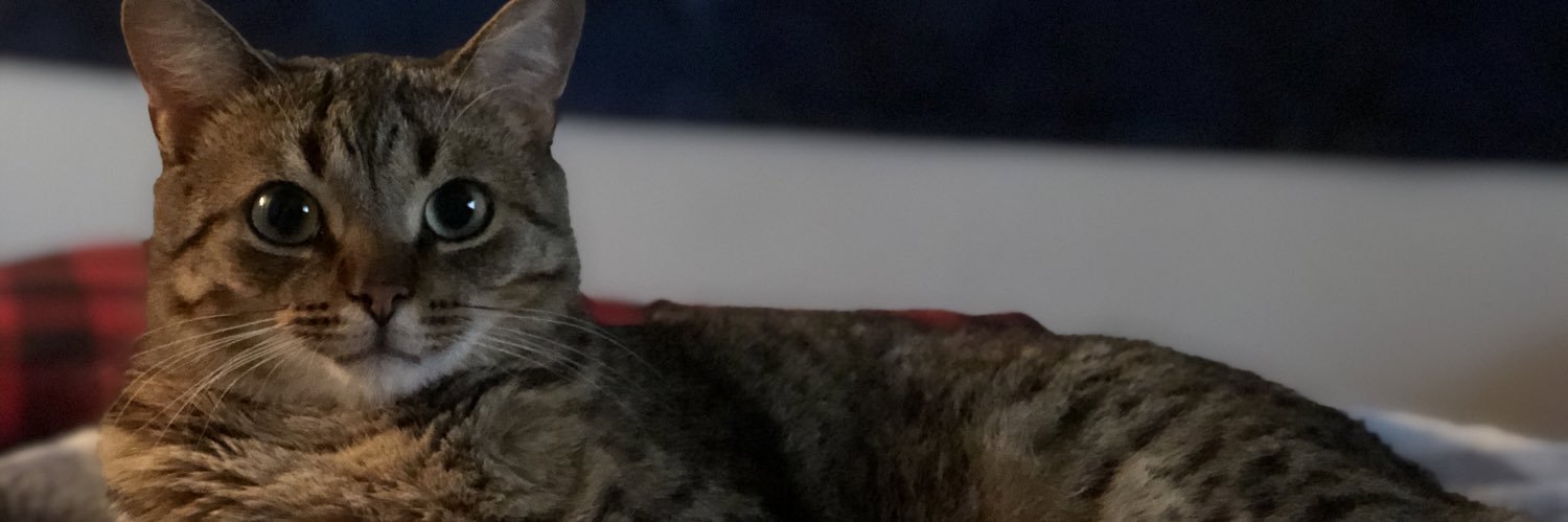 LL_CoolJ_'s profile banner image