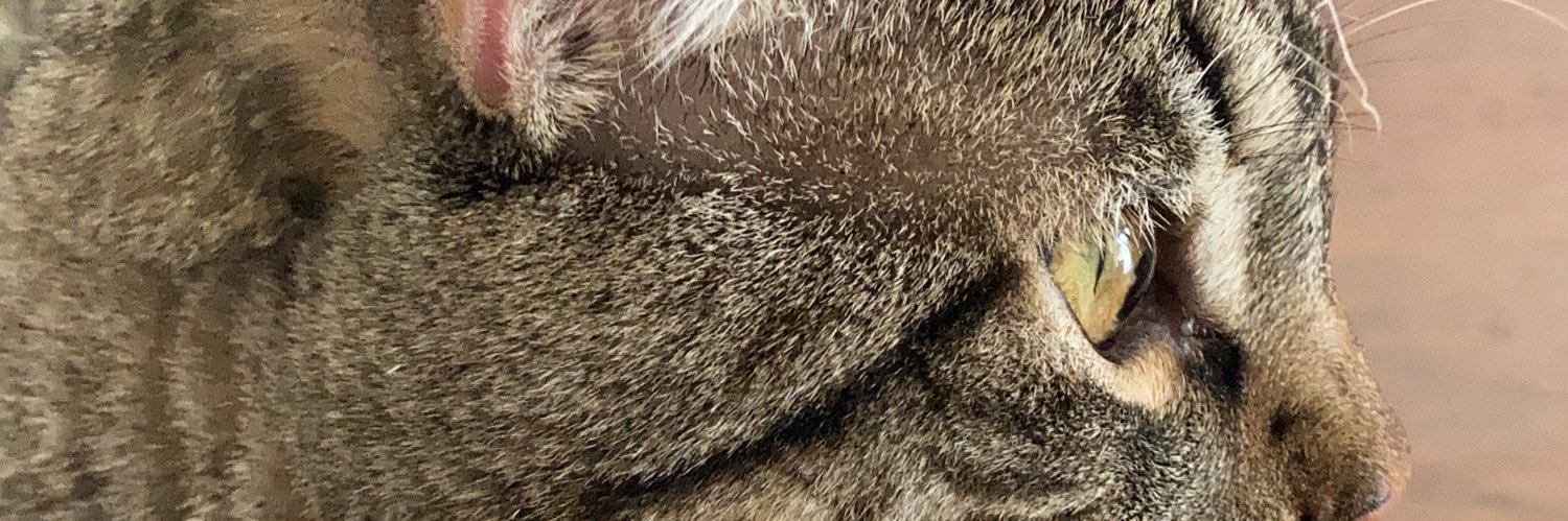 altejean's profile banner image