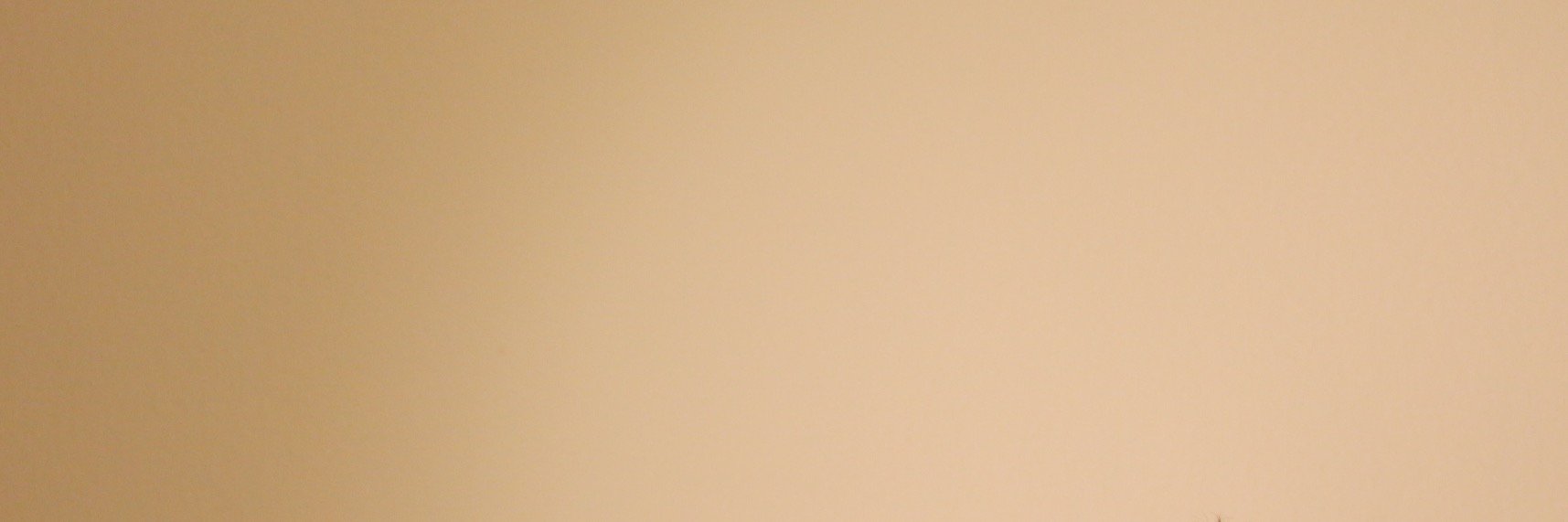 mistercae's profile banner image