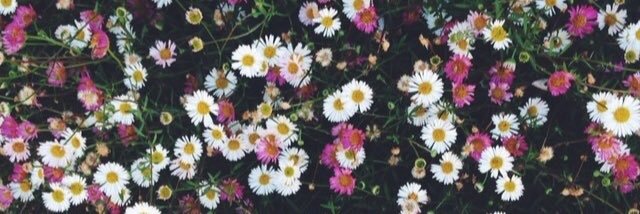 claud_puricelli's profile banner image