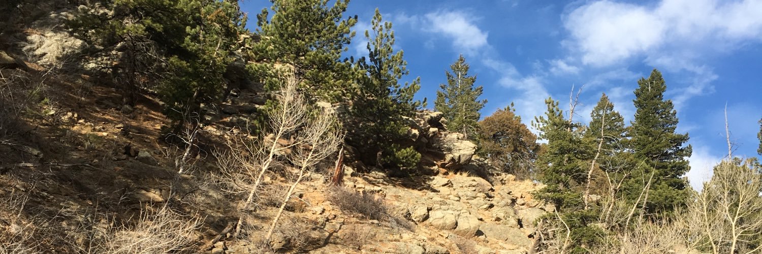 CarlyNegus's profile banner image