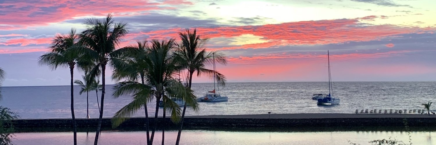 SeaLeap's profile banner image