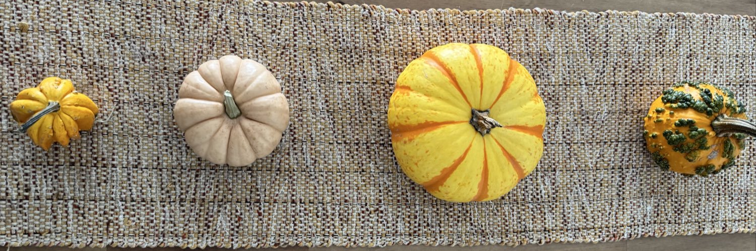 Banan(a Bread) Otaibi, MD banner