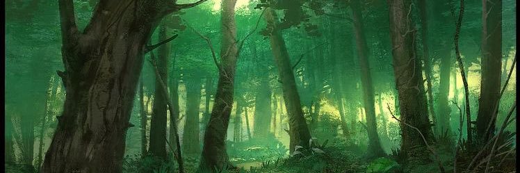 DivingForClams's profile banner image