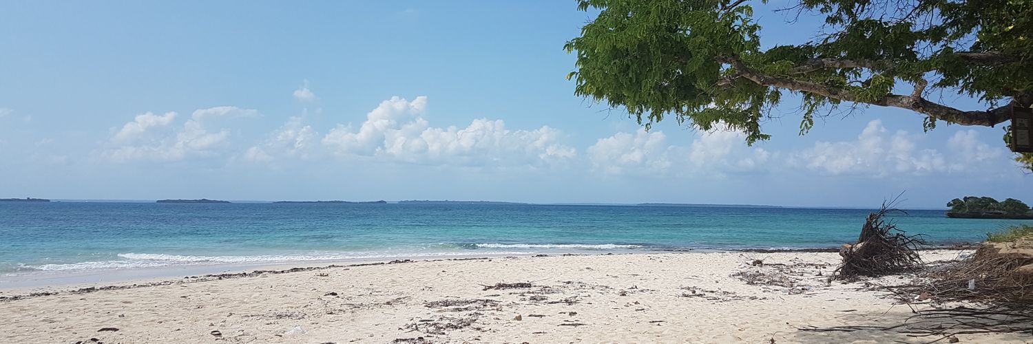 jonpark99's profile banner image