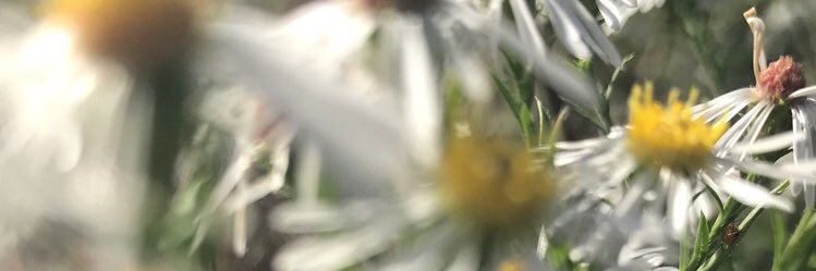 ashdanielle2011's profile banner image