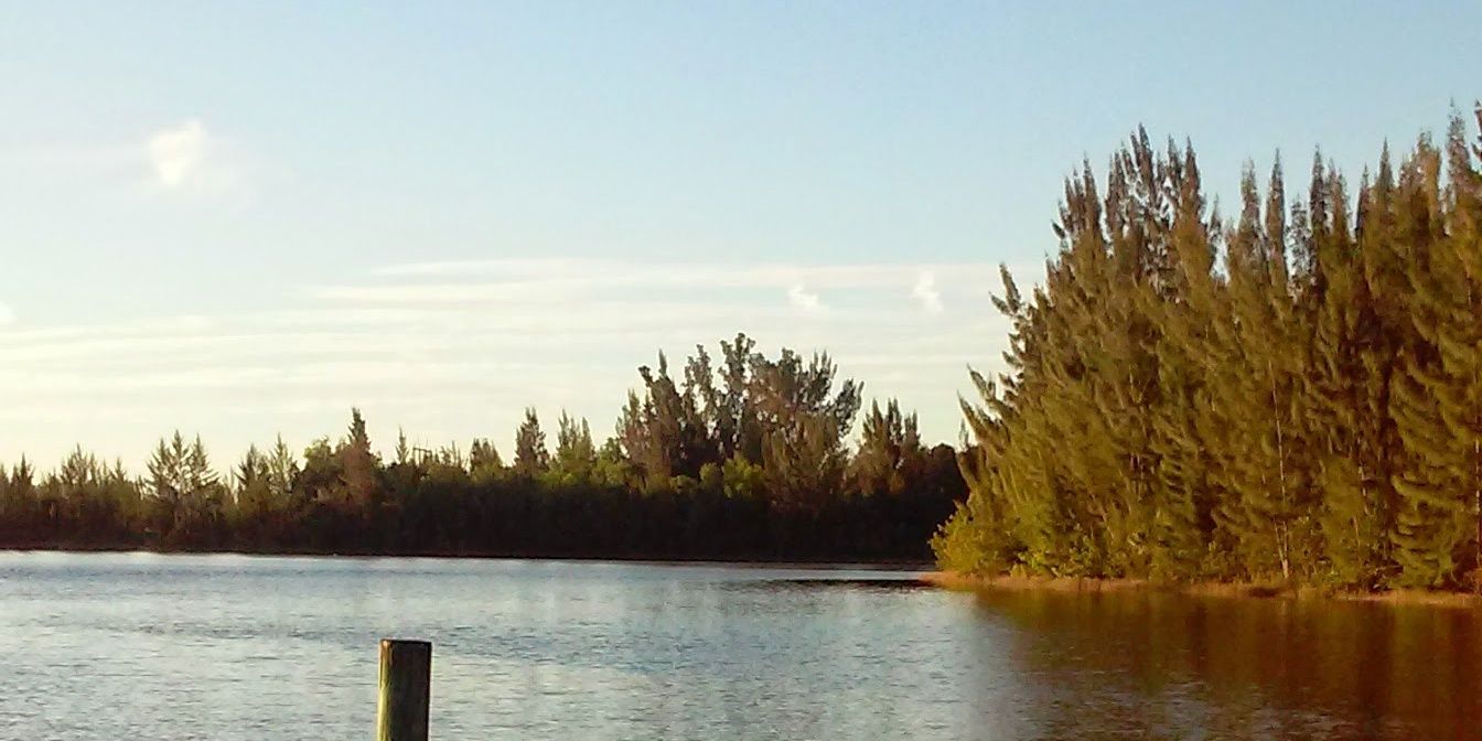 mlcc15's profile banner image