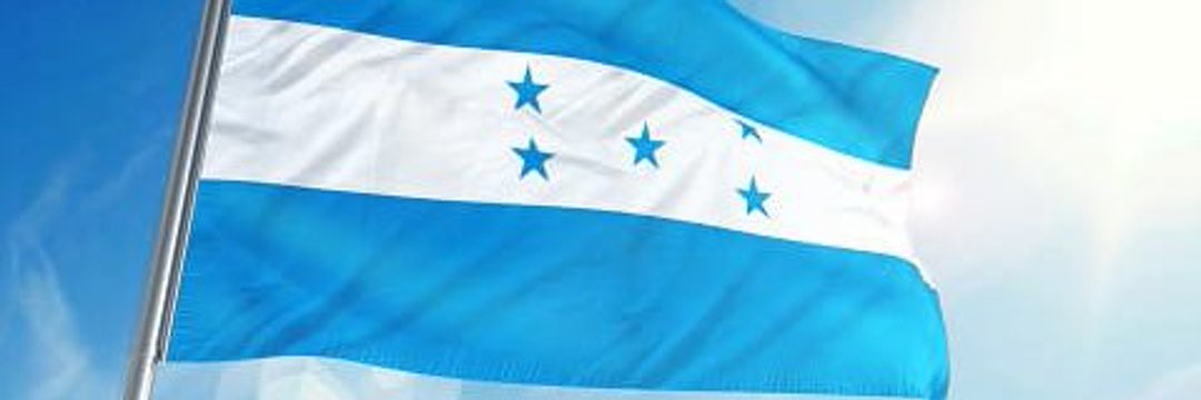 Vicente Hernández S. banner