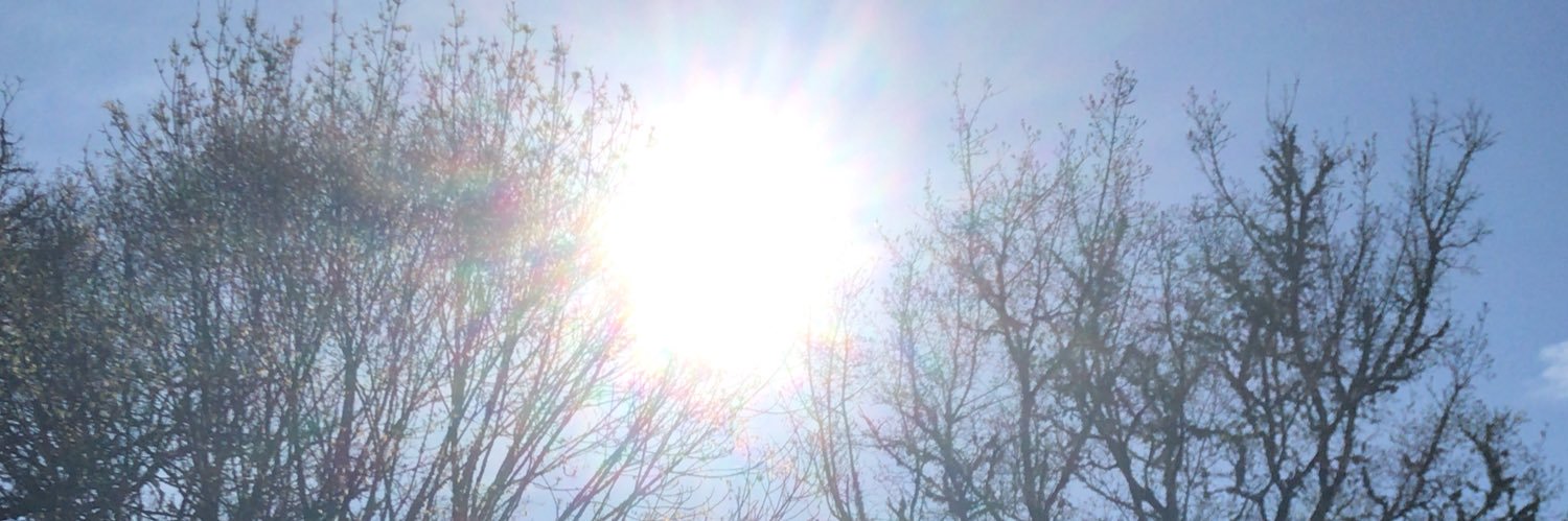 michala maughan banner