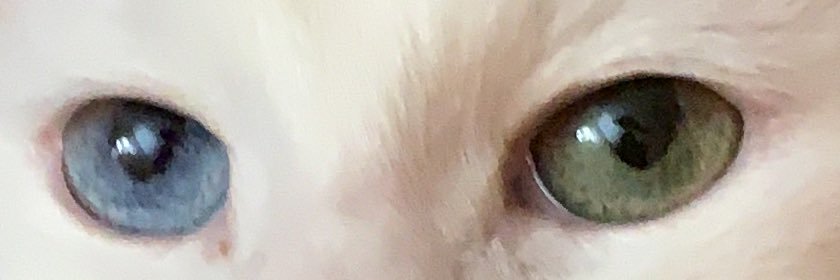 ImNotPC banner