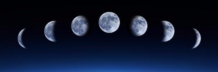 Natasha Burgess banner