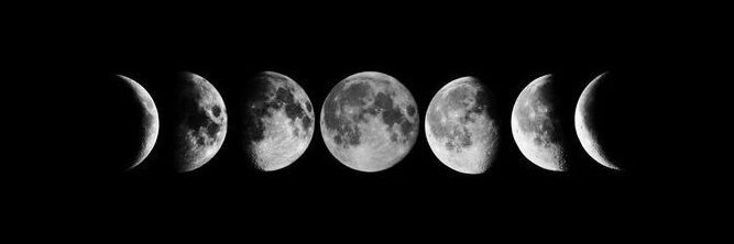 Rebecca White 🍉 banner