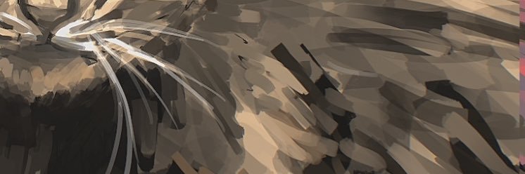 proshibuki's profile banner image
