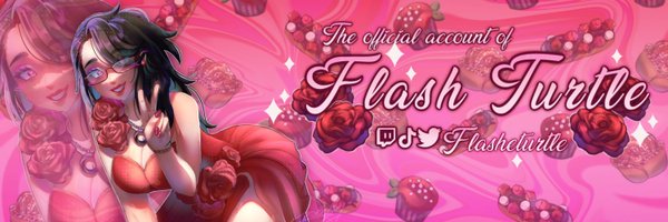 FlasheTurtle Profile Banner